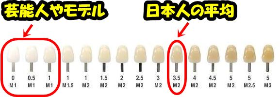 歯の見本色に照らし合わせた日本人の平均値と芸能人モデルの平均値